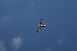 2026-05-30 (17)